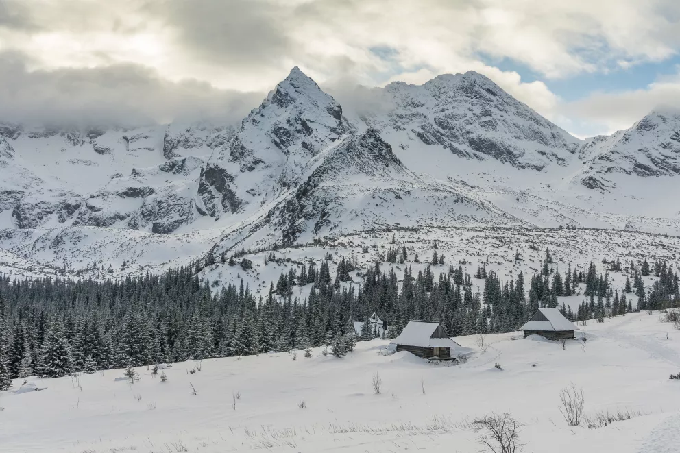 tatry